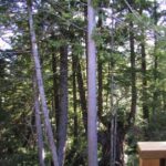 One Bedroom Cottage A: Outside view ucluelet cottages