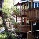One Bedroom Cottage B: Around the Back vancouver island accommodation