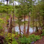 Two Bedroom Cottage C: Waterfront View cabins in ulcluelet