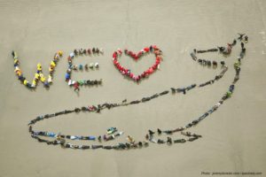 We heart whales in Ucluelet