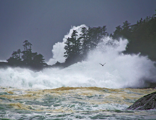 storm watching ucluelet