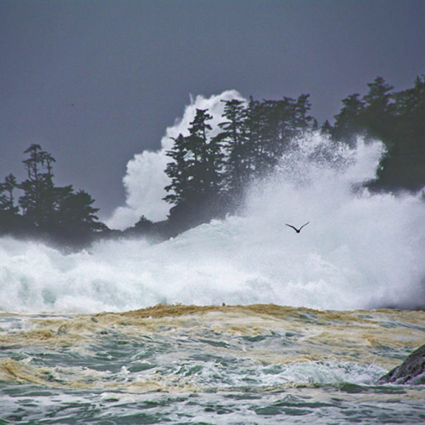 storm watching ucluelet